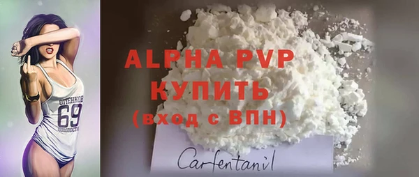СК Белокуриха