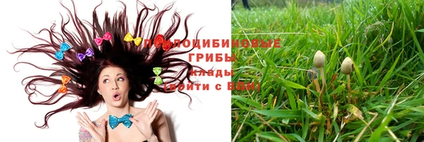 СК Белокуриха